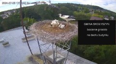 IMG_2106.jpeg