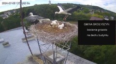 IMG_2107.jpeg