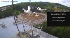 IMG_2110.jpeg
