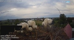 IMG_2339.jpeg