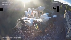 IMG_8718.jpeg