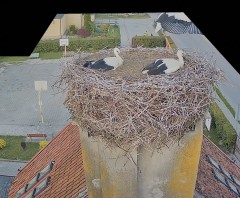 IMG_2227.jpeg
