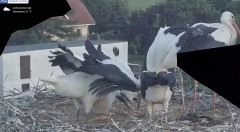 IMG_2404.jpeg
