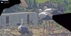 IMG_1930.jpeg