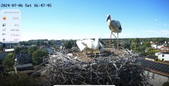 IMG_2070.jpeg