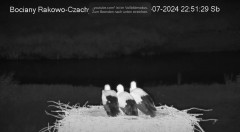 IMG_2412.jpeg