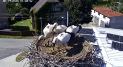 IMG_2043.jpeg