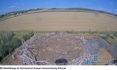 bandicam 2024-07-07 14-08-07-207.jpg