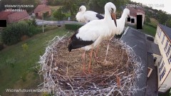 IMG_8918.jpeg