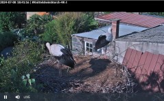 bandicam 2024-07-08 18-41-48-538.jpg