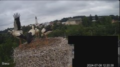 2024-07-08 20_42_27-Biecz gniazdo bocianów - YouTube – Maxthon.jpg