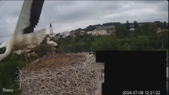 2024-07-08 20_43_11-Biecz gniazdo bocianów - YouTube – Maxthon.jpg