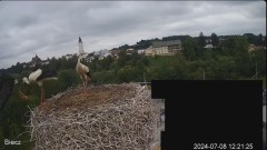 2024-07-08 20_43_14-Biecz gniazdo bocianów - YouTube – Maxthon.jpg