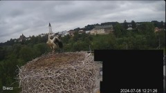 2024-07-08 20_43_15-Biecz gniazdo bocianów - YouTube – Maxthon.jpg