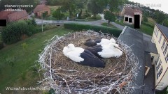 IMG_9144.jpeg