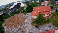2024-07-08 22_36_42-Gniazdo bocianie _Kostek i Rika_ - Podkarpacie Kostarowce - YouTube – Maxthon.png