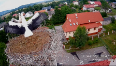 2024-07-08 22_36_44-Gniazdo bocianie _Kostek i Rika_ - Podkarpacie Kostarowce - YouTube – Maxthon.png