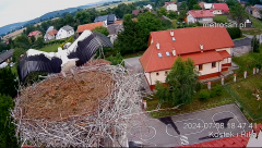 2024-07-08 22_37_08-Gniazdo bocianie _Kostek i Rika_ - Podkarpacie Kostarowce - YouTube – Maxthon.png