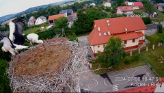 2024-07-08 22_37_18-Gniazdo bocianie _Kostek i Rika_ - Podkarpacie Kostarowce - YouTube – Maxthon.png