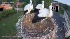 IMG_9165.jpeg