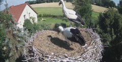 IMG_2840.jpeg