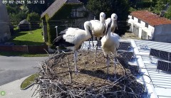IMG_2847.jpeg