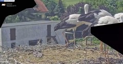 IMG_2780.jpeg