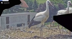 IMG_2788.jpeg