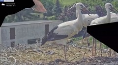 IMG_2789.jpeg