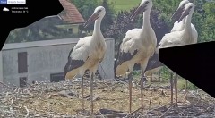 IMG_2790.jpeg