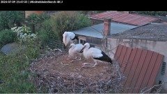 bandicam 2024-07-09 21-47-55-854.jpg