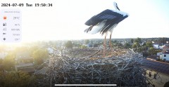 IMG_2959.jpeg