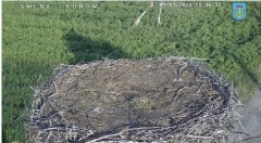 IMG_2922.jpeg