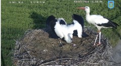IMG_2940.jpeg
