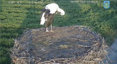 IMG_2965.jpeg