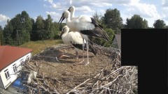 IMG_2896.jpeg