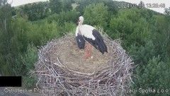 2024-07-09 22_21_59-Wodociągi Ostrołęka – transmisja na żywo - YouTube – Maxthon.jpg