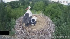 2024-07-09 22_22_31-Wodociągi Ostrołęka – transmisja na żywo - YouTube – Maxthon.jpg