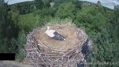 2024-07-09 22_24_06-Wodociągi Ostrołęka – transmisja na żywo - YouTube – Maxthon.jpg