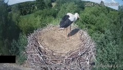 2024-07-09 22_24_18-Wodociągi Ostrołęka – transmisja na żywo - YouTube – Maxthon.jpg