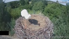 2024-07-09 22_24_26-Wodociągi Ostrołęka – transmisja na żywo - YouTube – Maxthon.jpg