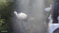 IMG_3011.jpeg