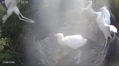 IMG_3016.jpeg