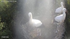 IMG_3019.jpeg