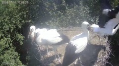 IMG_3005.jpeg