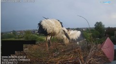 IMG_3370.jpeg