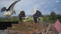 IMG_3397.jpeg
