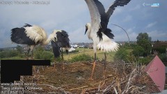 IMG_3399.jpeg