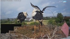 IMG_3403.jpeg