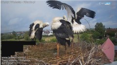 IMG_3404.jpeg